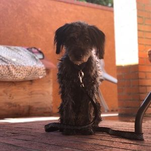 Meet your Posher, Giselle